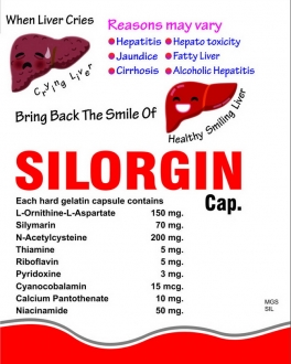 silorgin